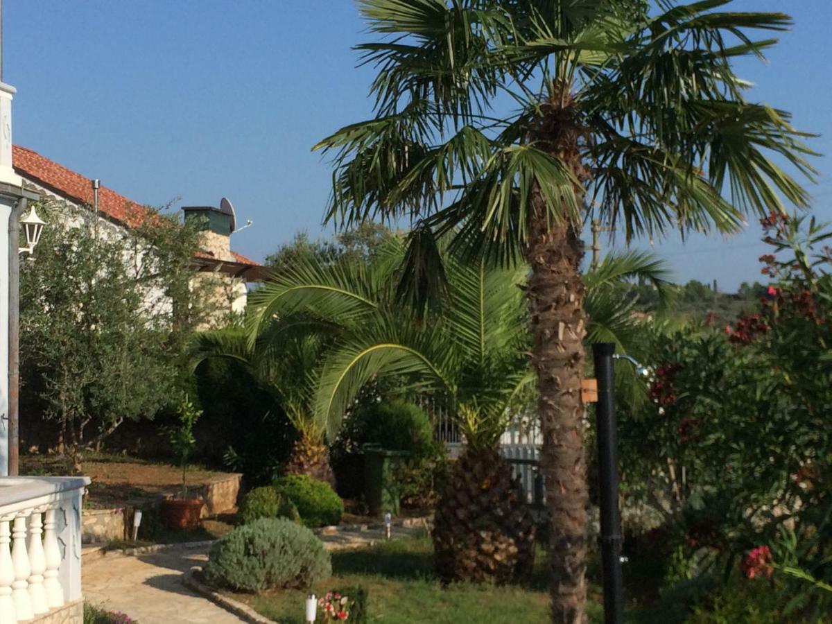 Apartmani Misic Ždrelac Exterior foto